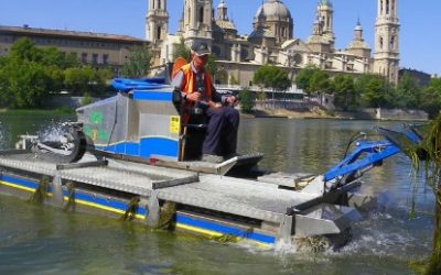 La AV. reclama limpiar las algas del Ebro para prevenir las picaduras de mosca negra