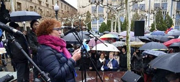 CAMPAÑA ICA Declaración de la RAPA en la masiva manifestación del domingo