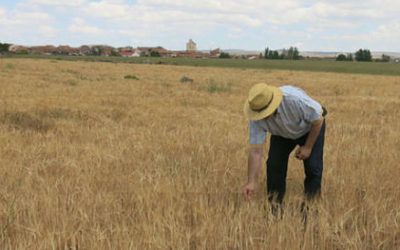 CAVA La despoblación no solo es una cuestión demográfica. Servicios públicos y calidad de vida en el mundo rural