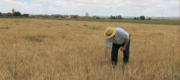 CAVA La despoblación no solo es una cuestión demográfica. Servicios públicos y calidad de vida en el mundo rural