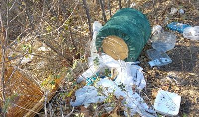 La AV. Las Fuentes reclama a la DGA intervenir en el entorno de Torre Ramona