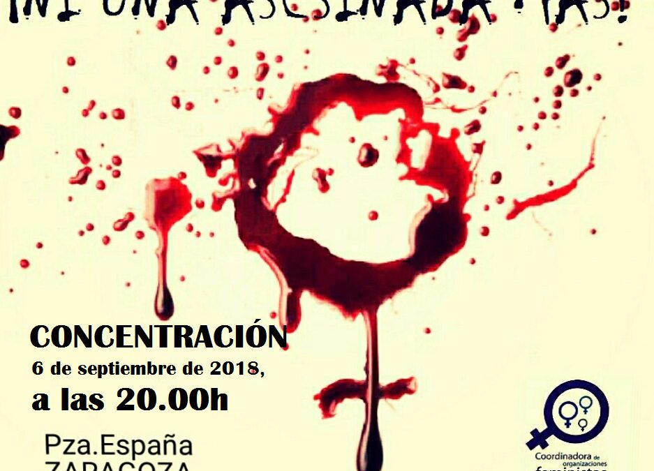 La Comisión de Mujer llama participar en la concentración ESTA TARDE por el nuevo feminicidio ocurrido hoy en Zgz