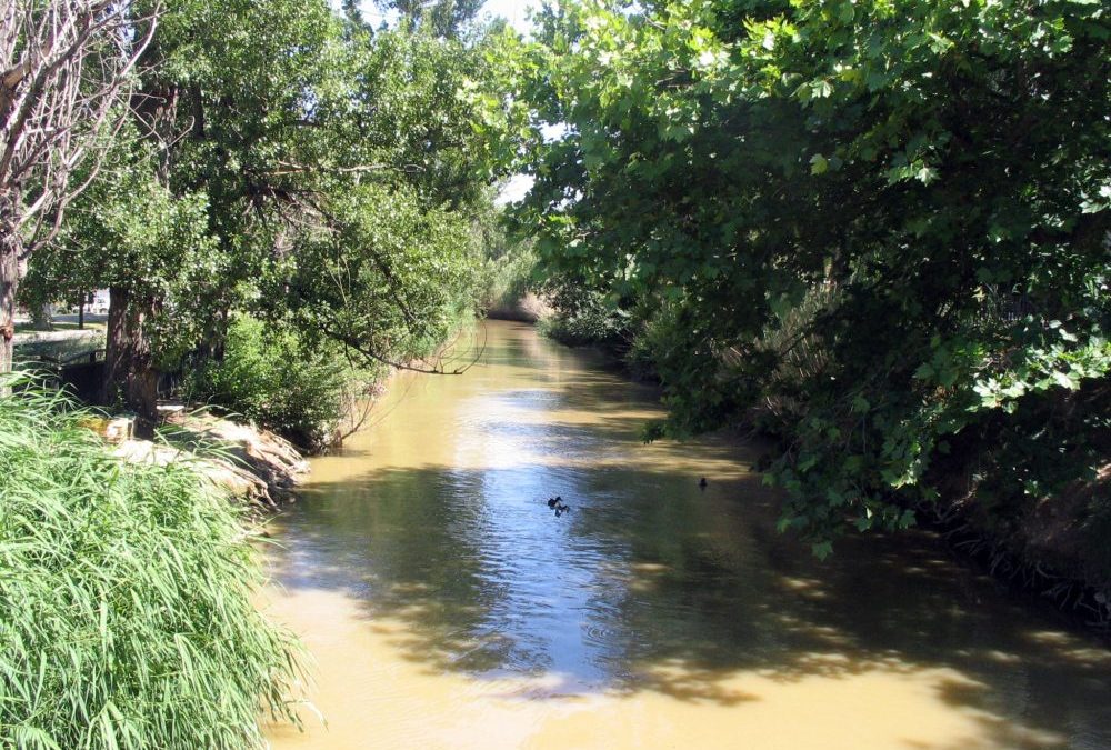 La AV. San José invita a la ministra Ribera a ver "lo bien" que está el Canal