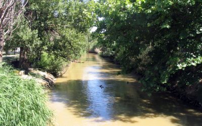 La AV. San José invita a la ministra Ribera a ver "lo bien" que está el Canal