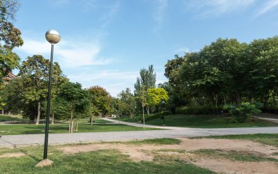 Los barrios reclaman más mantenimiento y nuevo arbolado en los parques. EN LOS MEDIOS