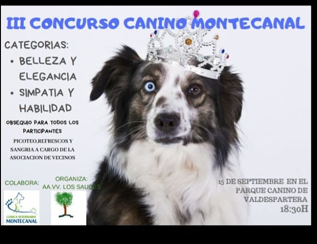 Fiestas Montecanal 2019 organizadas por la Asociación Vecinal