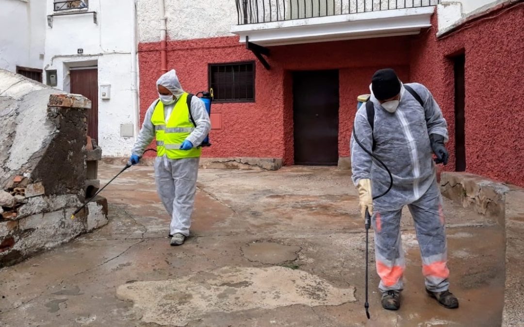 Todos los grupos de la DPZ, menos VOX, aprueban una declaración para reconocer la lucha de los municipios contra el coronavirus