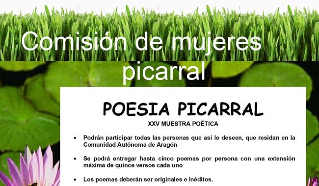 Convocatoria Concurso XXV Muestra Poética PICARRAL