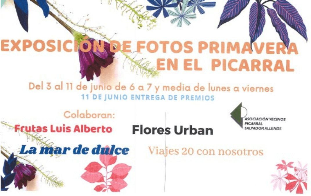 Concurso-Exposición fotográfica AV Picarral Salvador Allende