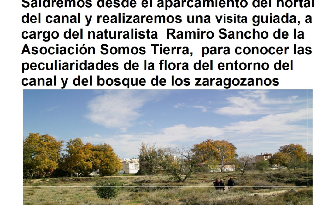Paseo Botánico, «Canal y Bosque de los Zaragozanos»