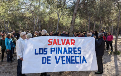 Posicionamiento de la AV Montes de Torrero Venecia ante la ampliación del Parque de Atracciones