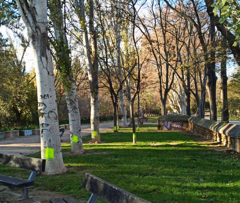 Asociaciones vecinales y ecologistas denuncian las talas en el Parque Bruil