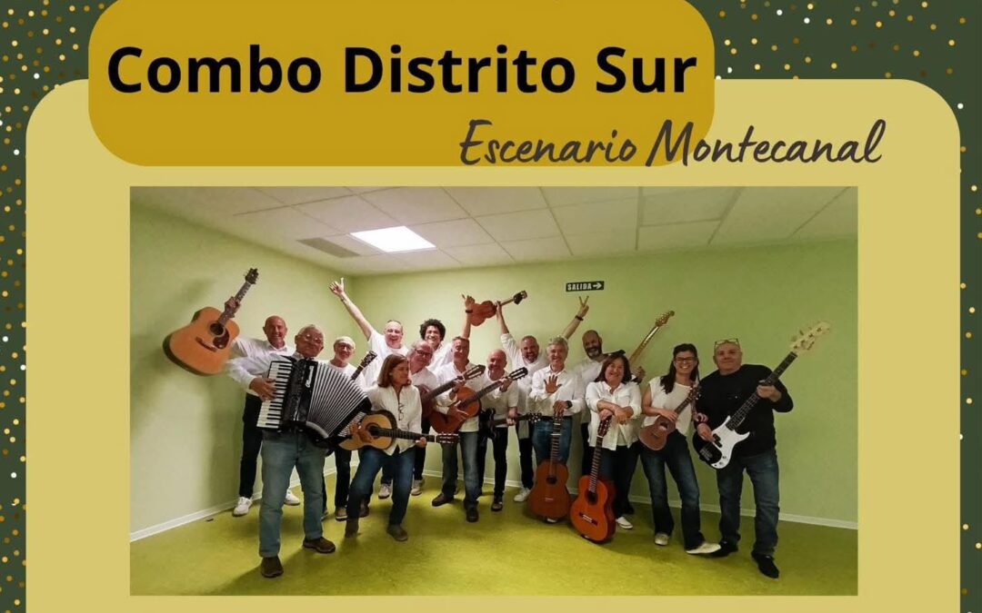 Fiesta de la Música. AV Los Sauces de Montecanal