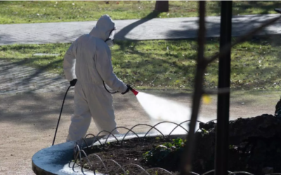 Unos días después del desalojo y cierre del Parque Bruil se desconocen las razones concretas y las presuntas soluciones del Ayuntamiento