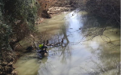 Desidia y abandono del Canal Imperial