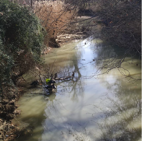 Desidia y abandono del Canal Imperial